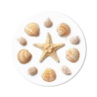 Produktbild von MuchoWow® Mauspad Mousepad Muscheln - Seesterne - Muster 20x20 cm - Mousepads - Maus Mat - Pad - Mausunterlage - Schreibtischmatte
