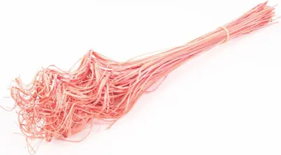 Produktbild von Weiden-Spiral-Bündel, Größe ca. 70cm, in 10 Farben zur Auswahl , Farbe:Pink