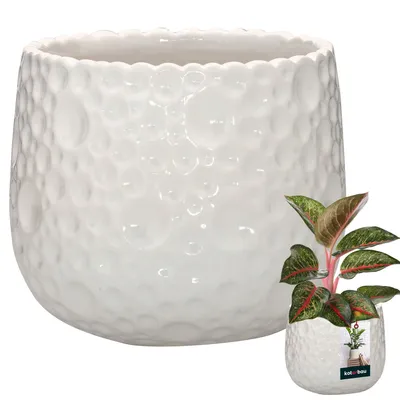 Obrázek produktu pro KOTARBAU® Květináč keramický kulatý ⌀ 12 cm Výška: 12,5 cm Bílý květináč Keramický květináč pro pokojové rostliny Květináč moderní malé květináče Květináč keramický Keramický květináč na orchideje Keramický květináč na orchideje