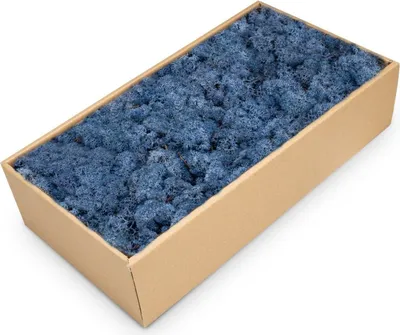 Produktbild von Islandmoos 500g in 30 Farben – Konserviertes Rentiermoos Natur, Farbe:Blau