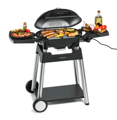 Image de ROMMELSBACHER Barbecue avec chariot BBQ 4100/S