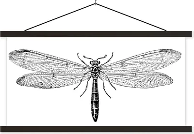 Produktbild von MuchoWow® Textilposter Eine Illustration einer schwarzen Libelle auf weißem Hintergrund 150x75 cm mit schwarzem Rahmen - Posterleiste