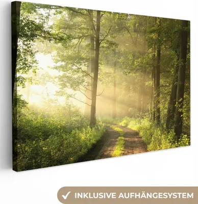 Produktbild von OneMillionCanvasses® - Leinwandbilder - 140x90 cm, Wald - Sonne - Bäume, Wandbilder Kunstdruck Wanddekoration