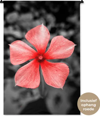 Produktbild von MuchoWow® Wandteppich Wandbehang Blumen - Rot - Schwarz - Weiß 90x135 cm Tapisserie Dekoration Wandtuch - Baumwolle - Wandskulptur