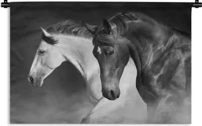 Produktbild von MuchoWow® Wandteppich Wandbehang Pferde - Tiere - Schwarz - Weiß - Porträt 90x60 cm Tapisserie Dekoration Wandtuch - Wandskulpturen - Bildteppich