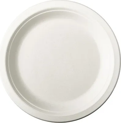 Produktbild von Teller, Zuckerrohr "pure" ungeteilt Ø 18 cm · 2 cm weiss