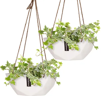 Produktbild von Fox & Fern Blumenampel für Blumentopf, Leichte Blumenampel für Innen, 2er-Set Blumentopf Hängend, Moderner Hängetopf für Pflanzen, Geometrischer Hängender Topf für Wohnzimmer, Wand & Fenster, 12 cm
