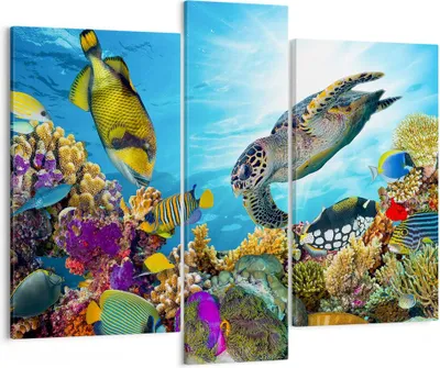 Produktbild von Bild auf Leinwand - Leinwandbild - Riff Koralle Fisch - 95x80cm - Wand Bild - Wanddeko - Wandbilder - Leinwanddruck - Bilder - Kunstdruck - Wanddekoration - Leinwand bilder - Wandkunst - CB95x80-3704