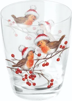 Produktbild von Wasserglas - Christmas robins white
