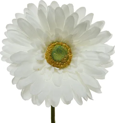 Produktbild von Kunstblumen Gerbera 50cm weiß, 1 Stück
