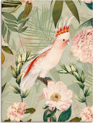 Produktbild von ARTland Leinwandbild Vintage Papagei Größe: 45x60 cm