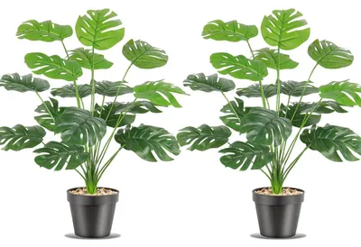Künstliche Monstera-Pflanze, 18 Zweige, 50 cm, 2 Stück