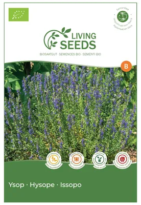 Produktbild von Ysop 4.1g Saatgut von Living Seeds