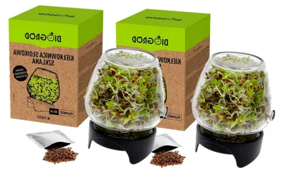 Produktbild von 2 X KEIMBOX Keimgarten, Keimgerät Keimglas Twist-Off mit Radieschensamen