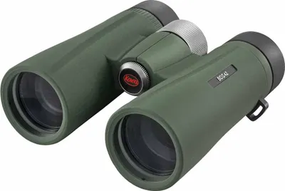 Obrázok produktu pre Kowa BDII42-8XD, 8x, 4,2 cm, Zelená, 640 g