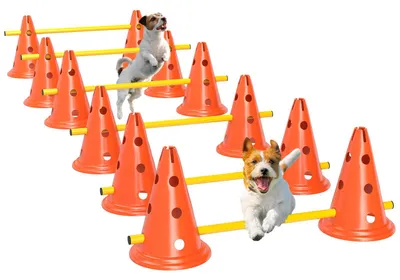 Produktbild von Agility Set Hunde 6 teiliges Agility Ausrüstung für Hundetraining, für Hundetraining Garten