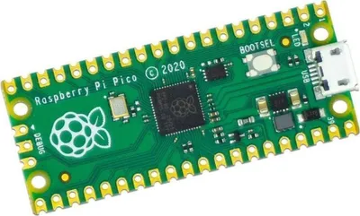 A Raspberry Pi Pico microcontroller board is shown against a white background.