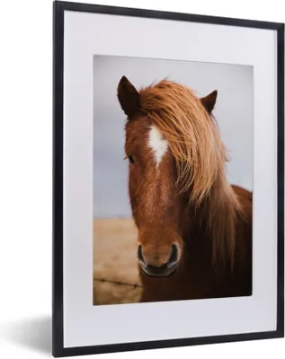 Produktbild von MuchoWow® MuchoWow® Gerahmtes Poster Island - Pferde - Braun 30x40 cm - Poster mit zchwarzem Bilderrahmen - Wandposter Schlafzimmer