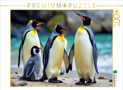 Produktbild von CALVENDO Puzzle Hier wird gewatschelt, gelacht und gestaunt. | 1000 Teile Lege-Größe 64x48cm Foto-Puzzle für glückliche Stunden