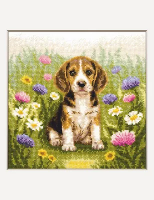 Zählkreuzstich-Set Weidepup, 20 x 20 cm, 14 ct Aida, 25 Farben