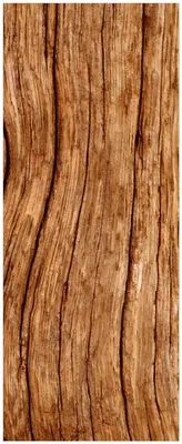 Produktbild von Wallario Memoboard Magnettafel aus Glas, Größe 32 x 80 cm, Motiv Holzstamm