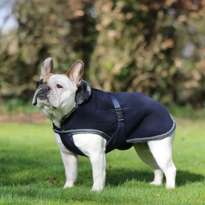Image de Bucas Show-Line Dog Rug - Taille 35