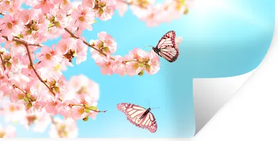 Produktbild von MuchoWow® Wandtattoo Wandsticker Wandaufkleber Schmetterlinge - Baum - Blumen 160x80 cm Selbstklebend und Repositionierbar - Sticker - Dekorfolie