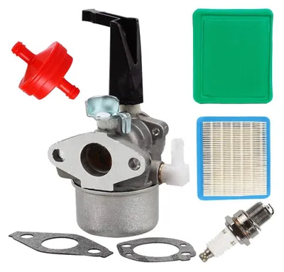 Imagen del producto de Kit de carburador para motores Briggs & Stratton
