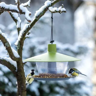 Immagine prodotto di Casetta per uccelli in plastica riciclata, mangiatoia per uccelli, 1,3 l, verde
