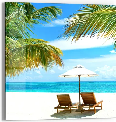 Produktbild von DEQORI Glasbild Echtglas 30x30 cm 'Tropisches Paradies' Wandbild Bild modern Deko