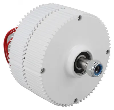 Image de Moteur synchrone à aimants permanents, alternateur triphasé à courant alternatif à double arbre, 12 V, pour éolienne verticale ou horizontale, 300 W