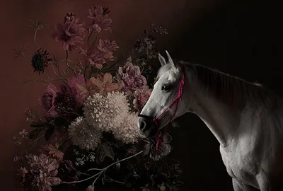 Produktbild von Tadessi Fototapete | Blumen | 4.00 m x 2.70 m | Weiß | Rosa | Wandbild | Digitaldruck