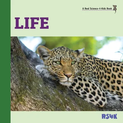 Produktbild von Life