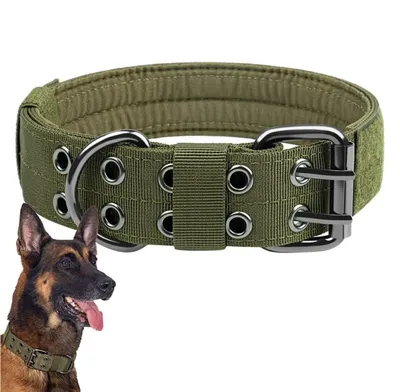 Immagine prodotto di Camerazar Collare tattico verde per cani Collare doppio XL regolabile per cani