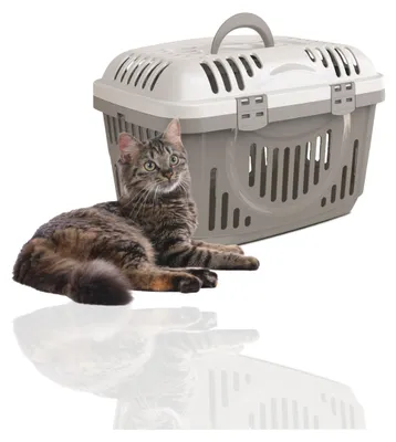 Produktbild von Rohrschneider Katzen Transportbox | Transportbox Katze | Tierbox | Transportbox mit Griff | Katzenbox | Transportbox Katze groß, Farbe:grau