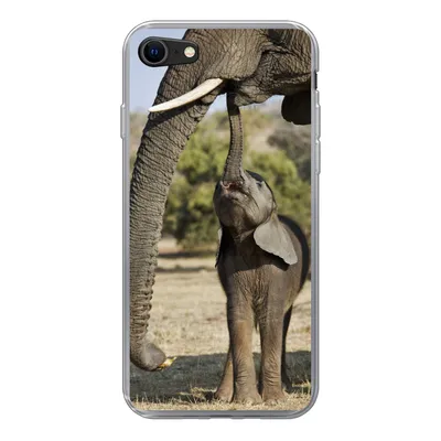 Produktbild von MuchoWow® Handyhülle Schutzhülle Hülle für iPhone SE 2020 Elefant - Tiere - Gras - Natur Silikon Softcase Handy Hülle - Kartenbesitzer