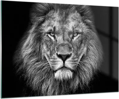Produktbild von Bilder auf glas - Einteilig - Porträt Löwe Schwarzweiß - 100x70cm - Glasbilder - Wandbilder - Bilder - zum Aufhängen bereit - Wanddekoration aus Glas - Glas Bilder - Wandbild auf Glas - GAA100x70-4494