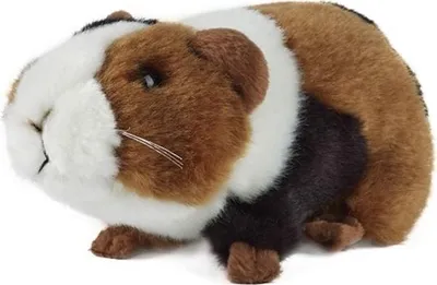 Immagine prodotto di Living Nature peluche porcellino d'India piccolo peluche regalo
