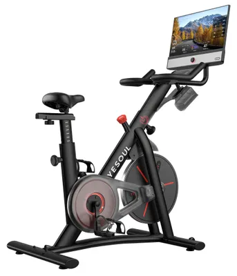 Immagine prodotto di YESOUL G1M Plus – cyclette smart da casa, resistenza magnetica silenziosa, seduta comoda, bici fitness con schermo 21,5" FHD