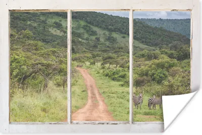 Produktbild von MuchoWow® Poster Durchsichtig - Zebra - Tiere 90x60 cm - Schlafzimmer