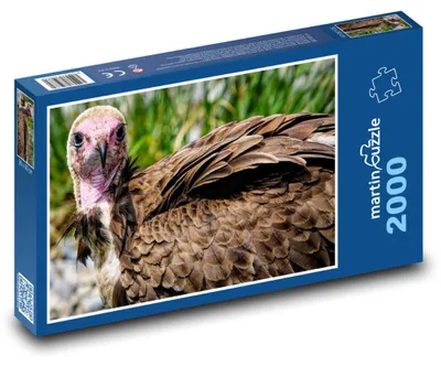 Zdjęcie produktu dla martinpuzzle - Puzzle 2000 - Super