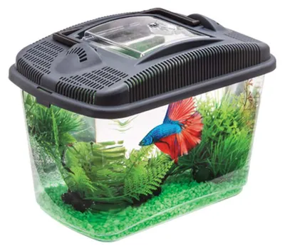 Obrázek produktu pro Aquael Betta Kit – akvarijní set pro bojovnice