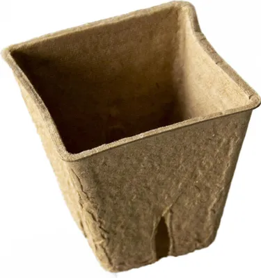 Immagine prodotto di vaso monouso 6x6x5,6cm carta (20pz)