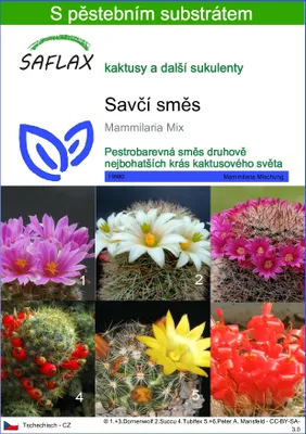 Obrázek produktu pro SAFLAX - Savčí směs - Mammilaria Mix - 40 Semena - S pěstebním substrátem bez klíčků