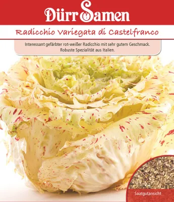 Produktbild von Radicchiosalat Variegata di Castelfranco | Radicchiosamen von Dürr Samen