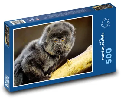 Obrázek produktu pro Puzzle 500 Kosman na větvi - martinpuzzle