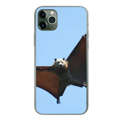 Produktbild von MuchoWow® Handyhülle Schutzhülle Hülle für iPhone 11 Pro Max Fledermaus - Luft - Flügel Silikon Softcase Handy Hülle - Schutz