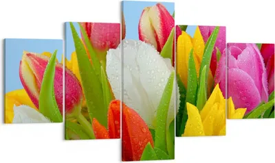Produktbild von Bild auf Leinwand - Leinwandbild - Tulpen Blumenstrauß Blumen Tau - 125x70cm - Wand Bild - Wanddeko - Leinwanddruck - Bilder - Kunstdruck - Wanddekoration - Leinwand bilder - Wandkunst - EA125x70-2526