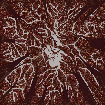 Obrázek produktu pro ImportCDs Crown Shyness, Pop rock, CD, Fyzické médium, Dospělý, 1 disky, 19/07/2018