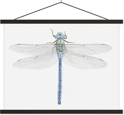 Produktbild von MuchoWow® Textilposter Eine Illustration einer Libelle auf weißem Hintergrund 120x90 cm mit schwarzem Rahmen - Aufhänger für Poster